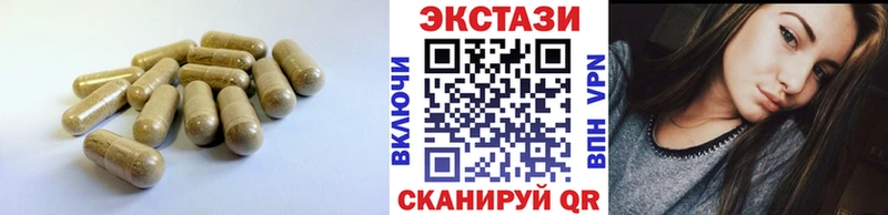 сколько стоит Дмитров Ecstasy DUBAI