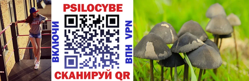 Псилоцибиновые грибы GOLDEN TEACHER  где купить   МЕГА сайт  Дмитров 