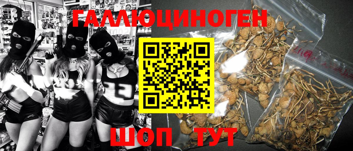 Галлюциногенные грибы Magic Shrooms  где найти   Дмитров  Вход с VPN 